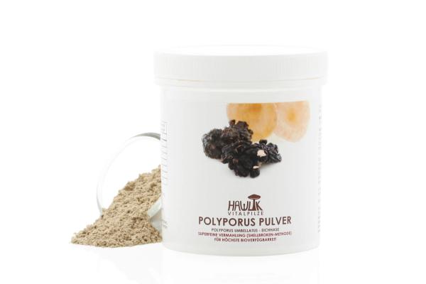 Polyporus Pulver, 100g