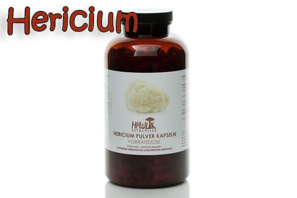 Hericium | Original Hawlik