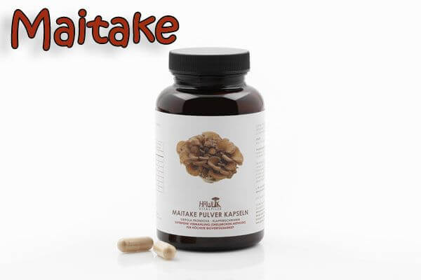 Maitake | Original Hawlik