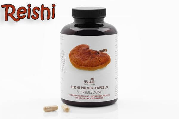 Reishi | Original Hawlik